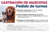Castran mascotas , pero solo con turnos