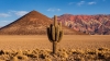 El IAAJ anunció los proyectos ganadores del Concurso de Coproducción Jujuy–Salta