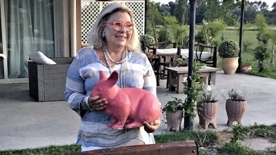 Carri&oacute; tambi&eacute;n carg&oacute; contra Facundo Manes y arde la interna de JxC