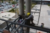 Centro de Monitoreo 911 se encuentra en un avance de obra del 82 %
