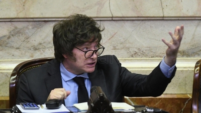 Repudiaron la posici&oacute;n de Milei a favor de la "libre portaci&oacute;n de armas"