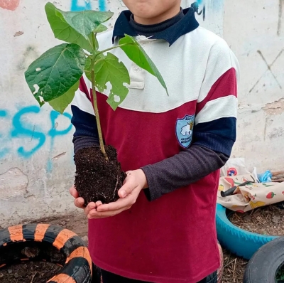 Talleres de huertas agroecol&oacute;gicas promueven la alimentaci&oacute;n saludable en escuelas