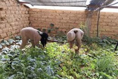 Estado de situaci&oacute;n de ejecuci&oacute;n de recursos en Escuelas T&eacute;cnicas y Agrot&eacute;cnicas