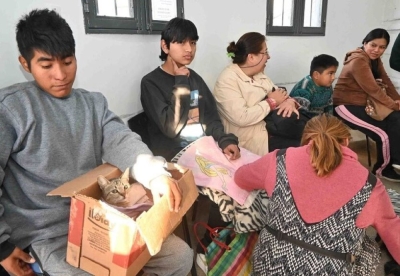 Inici&oacute; campa&ntilde;a de castraci&oacute;n con m&aacute;s de 100 turnos semanales