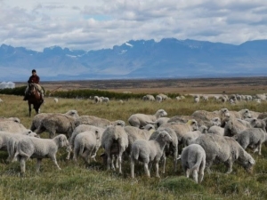 La Corte Suprema dejó vigente un decreto del Gobierno que permite la venta sin límites de tierras a extranjeros
