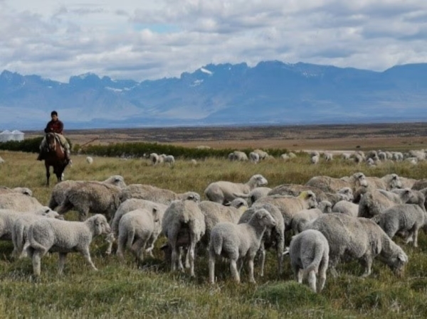 La Corte Suprema dej&oacute; vigente un decreto del Gobierno que permite la venta sin l&iacute;mites de tierras a extranjeros
