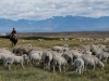 La Corte Suprema dejó vigente un decreto del Gobierno que permite la venta sin límites de tierras a extranjeros