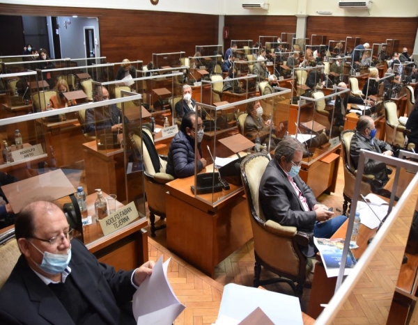 Nuevas comisiones municipales y vacunaci&oacute;n obligatoria