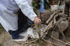 Medidas preventivas para evitar la propagaci&oacute;n del dengue