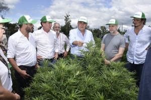 Morales y Larreta recorrieron la primer planta estatal de cannabis medicinal