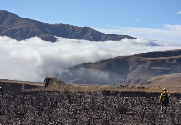 Volc&aacute;n: extinguieron el incendio de vegetaci&oacute;n tras un amplio operativo interinstitucional