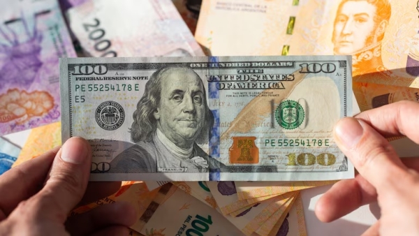 &iquest;D&oacute;lar o plazo fijo?: qu&eacute; inversi&oacute;n rindi&oacute; m&aacute;s en 2024 y qu&eacute; se espera para el 2025
