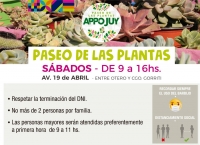 Nuevo horario en el Paseo de las Flores