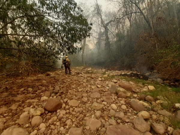 Se complica el incendio en el Parque Nacional Calilegua