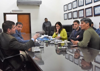 Diputados analiz&oacute; proyecto ciudadano sobre el servicio el&eacute;ctrico