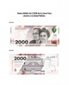El Banco Central aprob&oacute; la emisi&oacute;n de un nuevo billete de $ 2.000