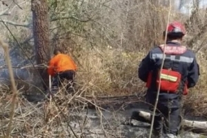 Seguridad refuerza el apoyo para combatir los incendios en Yuto