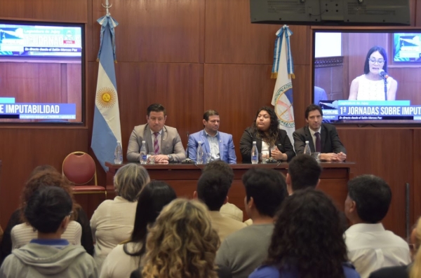 Legislatura.&ldquo;Enfoque Multidisciplinario sobre la Edad de Imputabilidad&rdquo;