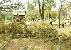 Alerta meteorológica. Municipio intensifica operativo de limpieza en el Parque San Martín