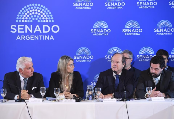El Gobierno busca blindar el S&uacute;per RIGI: el secretario de Hacienda ir&aacute; al Senado por pedido de la oposici&oacute;n