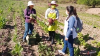 Capacitaron en la producci&oacute;n de compost org&aacute;nico
