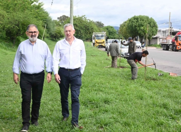 Municipio impulsa programa de arborizaci&oacute;n masiva en toda la ciudad