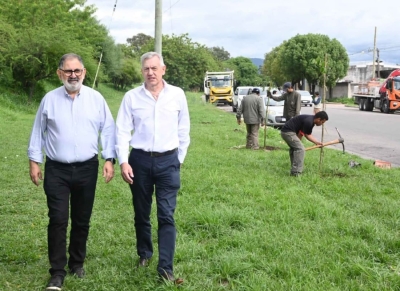 Municipio impulsa programa de arborizaci&oacute;n masiva en toda la ciudad