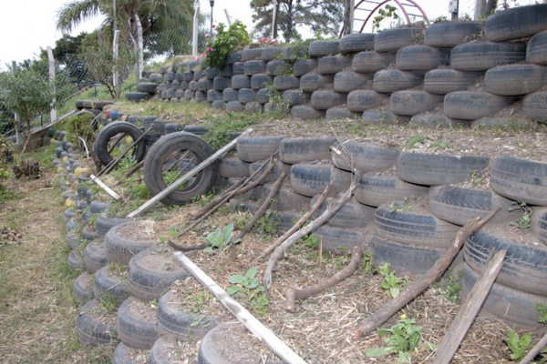 Primera huerta vertical con material reciclable