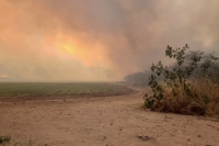 El Gobierno de la Provincia acciona con todos sus medios para controlar el incendio