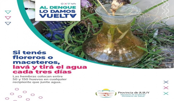 Dengue: extremar los cuidados en verano