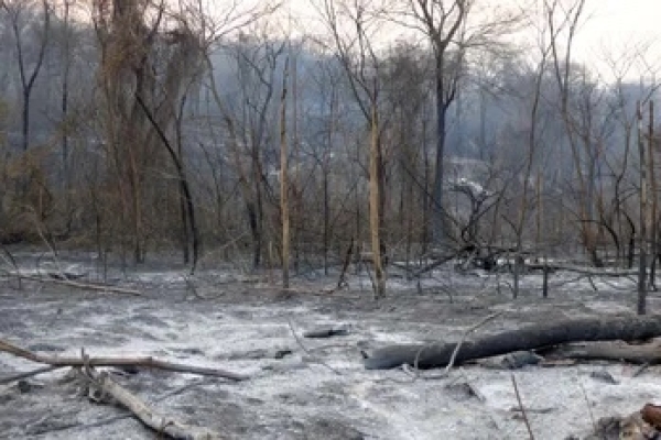 Incendio Forestal en las Yungas, ampliar&aacute;n las horas de trabajo