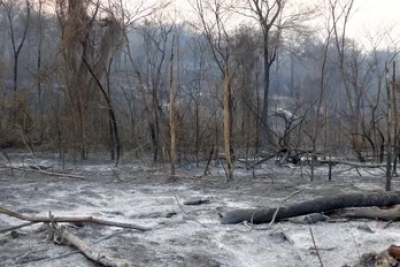Incendio Forestal en las Yungas, ampliar&aacute;n las horas de trabajo