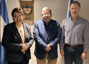 Planificaci&oacute;n Estrat&eacute;gica y Su.Se.Pu. avanzan en digitalizar