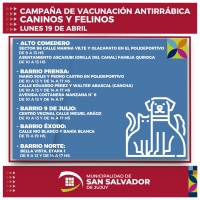 Lunes de vacunaci&oacute;n antirr&aacute;bica y castraciones