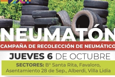 Se realizar&aacute; una nueva jornada de Neumat&oacute;n en la ciudad