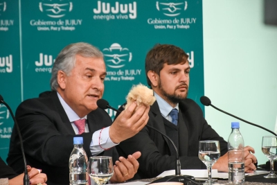 Jujuy despach&oacute; el primer embarque de fibra de vicu&ntilde;a a Italia
