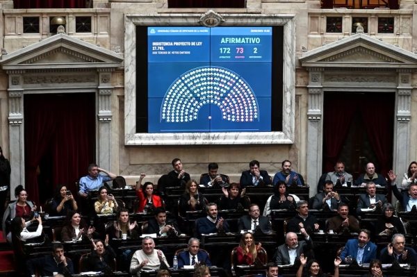 La oposici&oacute;n logr&oacute; rechazar el veto de Milei a la ley de emergencia en discapacidad en Diputados
