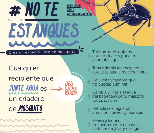Que hacer para frenar el inicio o rebrote del dengue