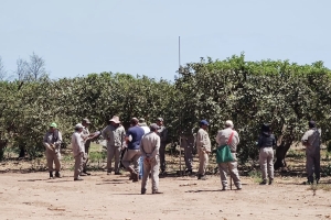 Renatre finaliz&oacute; con &eacute;xito ciclo de capacitacionessobre Buenas Pr&aacute;cticas Agr&iacute;colas para el sector citr&iacute;cola