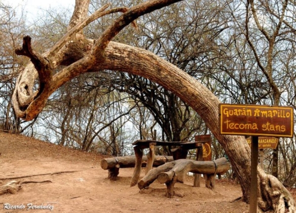 Ecos del Parque: Un Encuentro Educativo sobre Compostaje