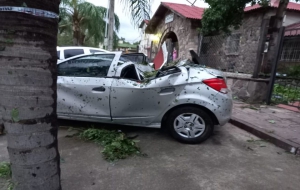 En Ledesma temporal provoc&oacute; ca&iacute;da de &aacute;rboles y da&ntilde;os materiales