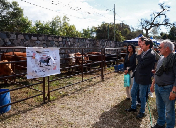 Apertura de la Feria Productiva de San Antonio