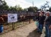 Apertura de la Feria Productiva de San Antonio