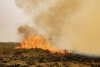 Fue apagado el foco de incendio en Yala de Monte Carmelo
