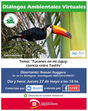 Charla virtual sobre los tucanes en jujuy