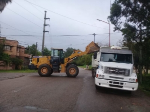 No bajar los brazos con el Dengue