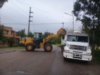 No bajar los brazos con el Dengue