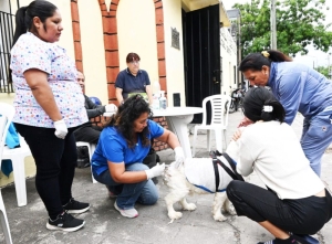 Contin&uacute;a con la campa&ntilde;a de vacunaci&oacute;n antirr&aacute;bica en distintos barrios de la ciudad