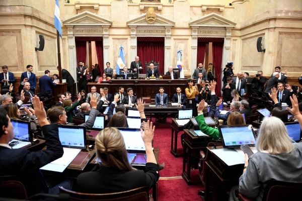 El Senado aprob&oacute; la ley de propiedad privada, pero el Gobierno debi&oacute; ceder en la reforma del Fuego