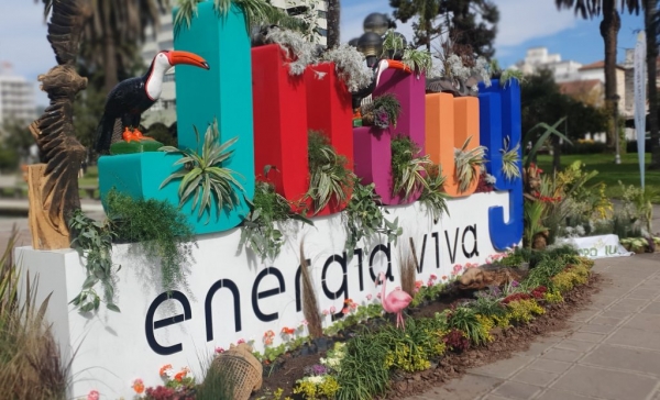 Plantas y flores nativas en "Jujuy energ&iacute;a viva"